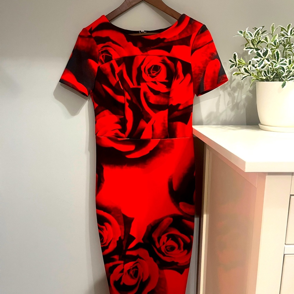Gorgeous rose dress